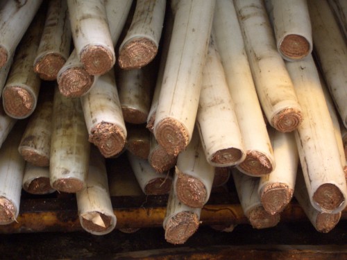 A stack of utility copper cables with white insulations