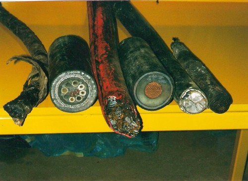 6 Samples of Industrial Aluminum and Copper Cable